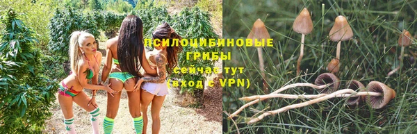 ALPHA-PVP Алзамай