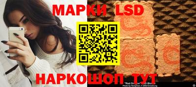 скорость Кингисепп