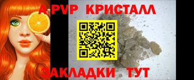 скорость Кингисепп
