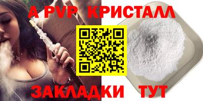 скорость Кингисепп