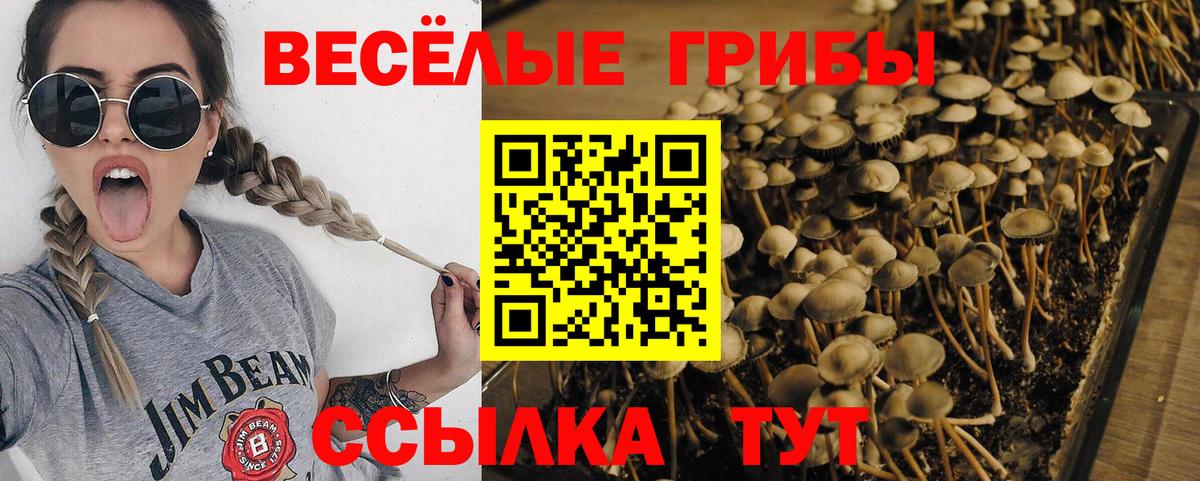 Псилоцибиновые грибы Magic Shrooms  Вход с VPN  Бирск  Галлюциногенные грибы Psilocybine cubensis 